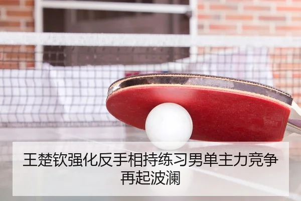 王楚钦强化反手相持练习男单主力竞争再起波澜